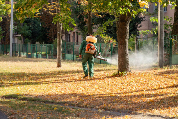 Best Pest Control Cost  in Lewiston, CA