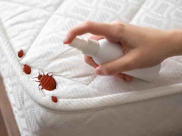Best Pest Removal Services  in Lewiston, CA